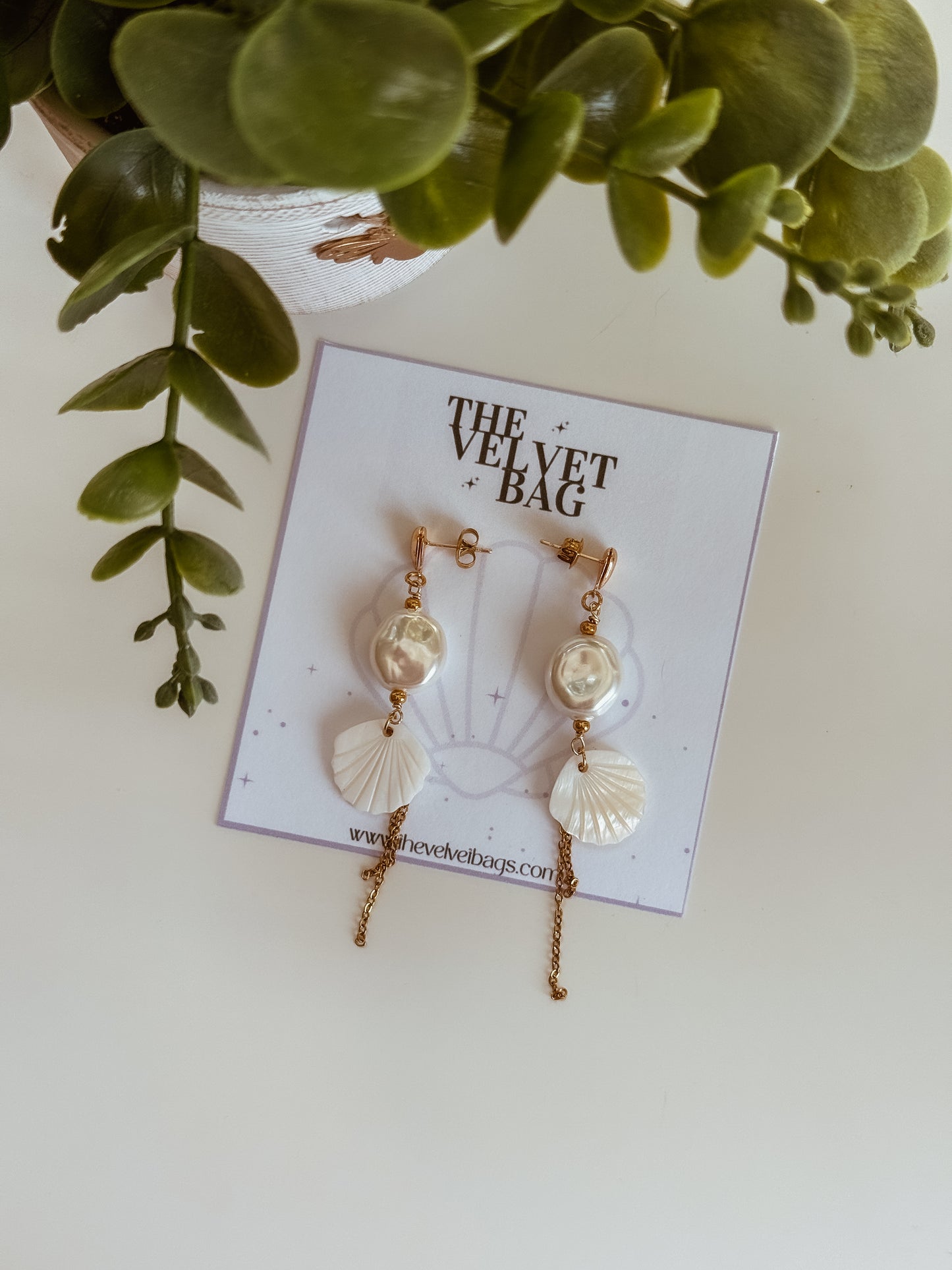 Seashells earrings