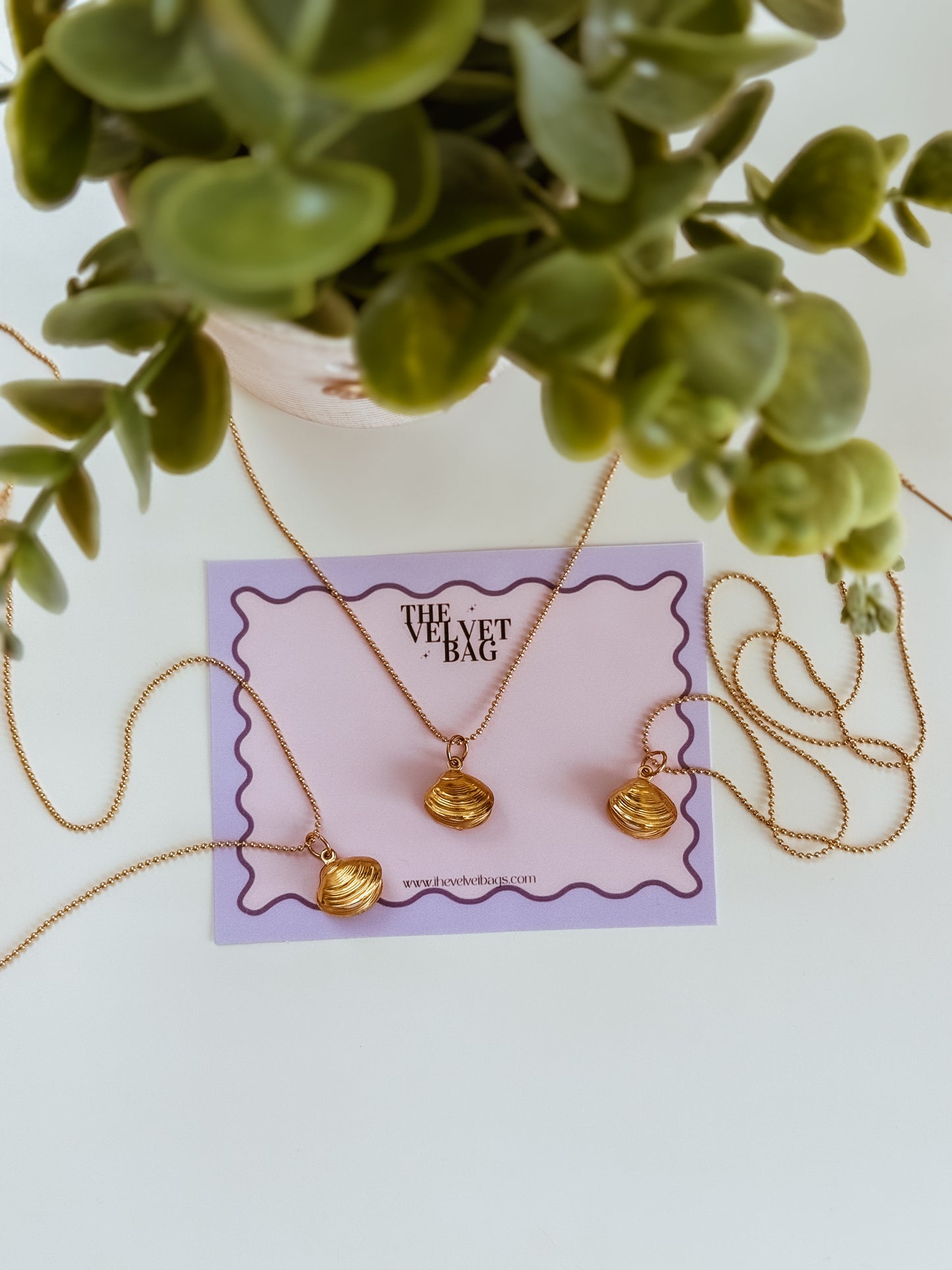 Coconut Necklace