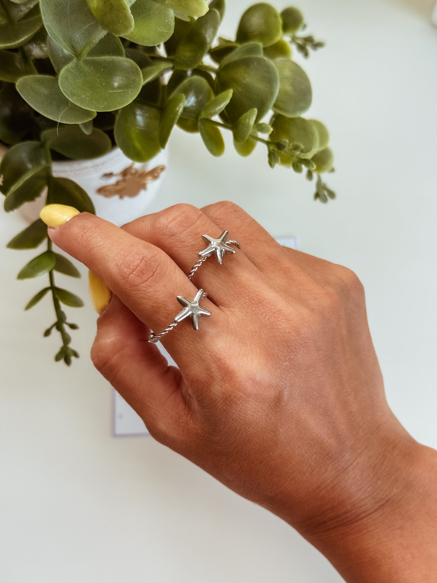 Estrella de mar