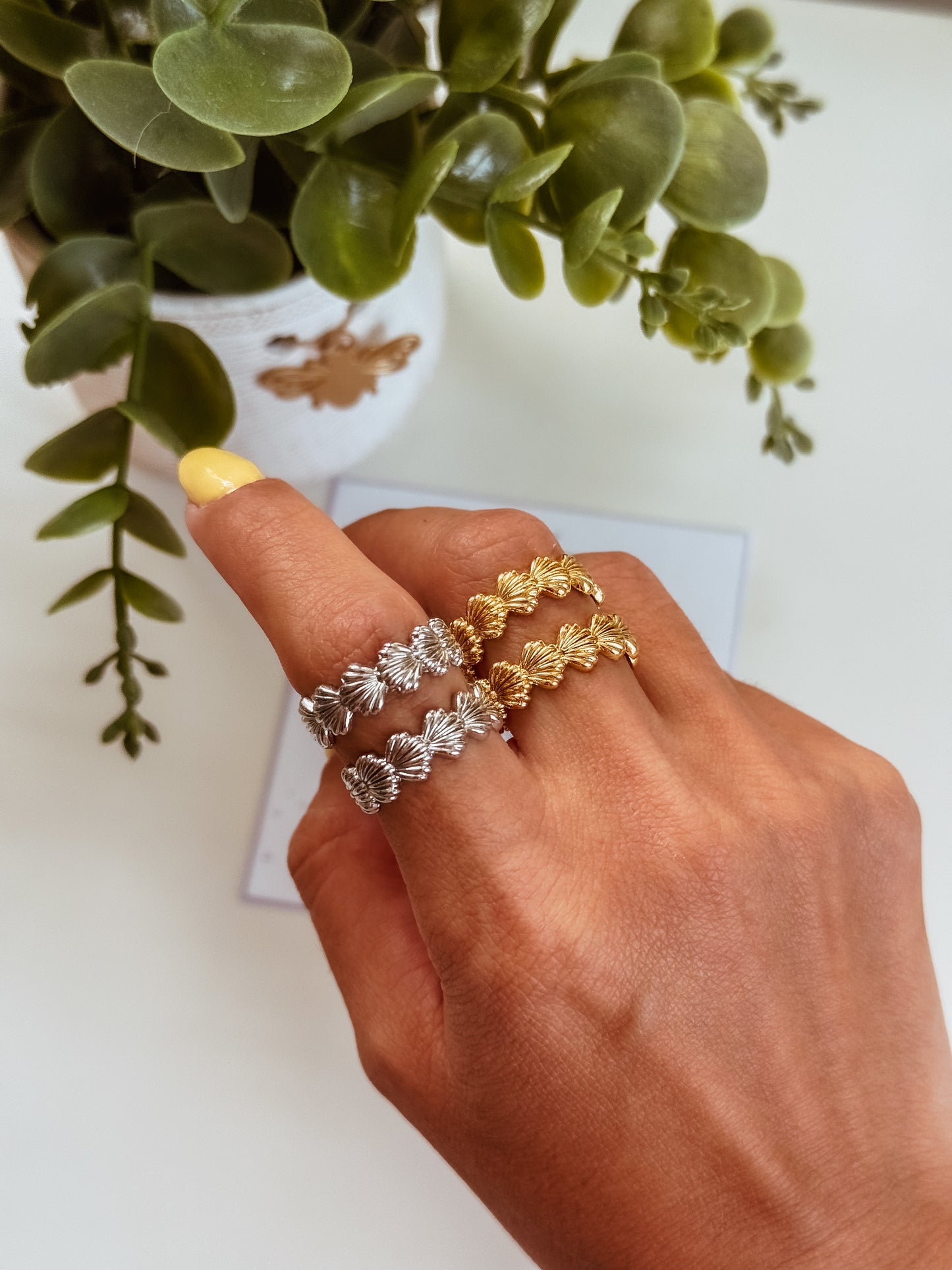 Shells ring