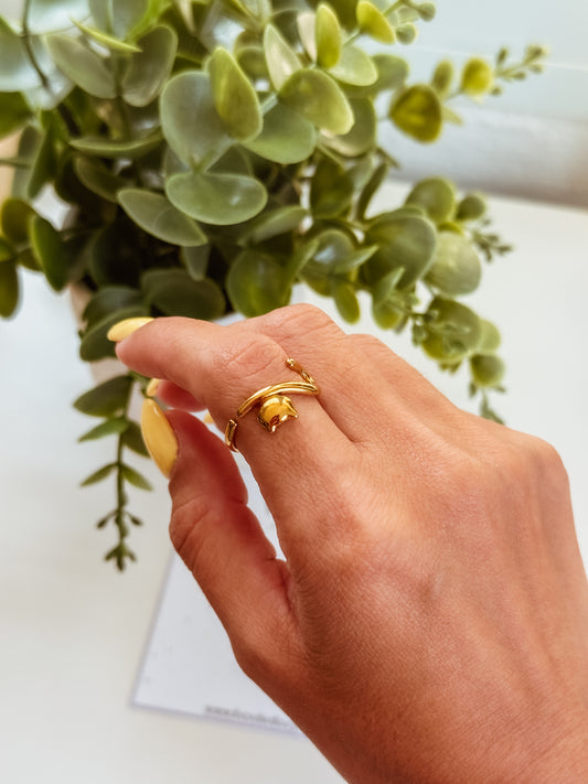 Venus ring