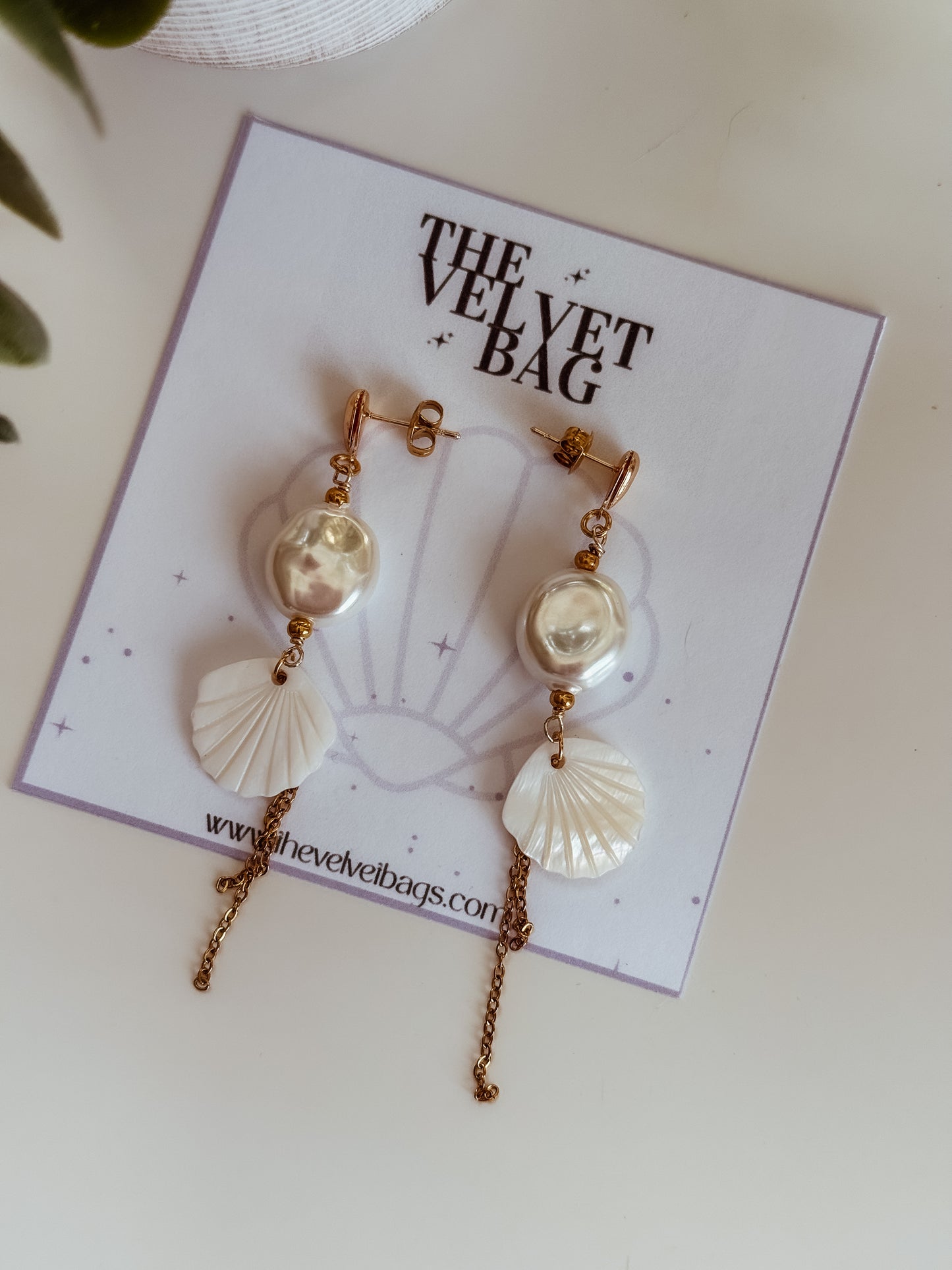 Seashells earrings