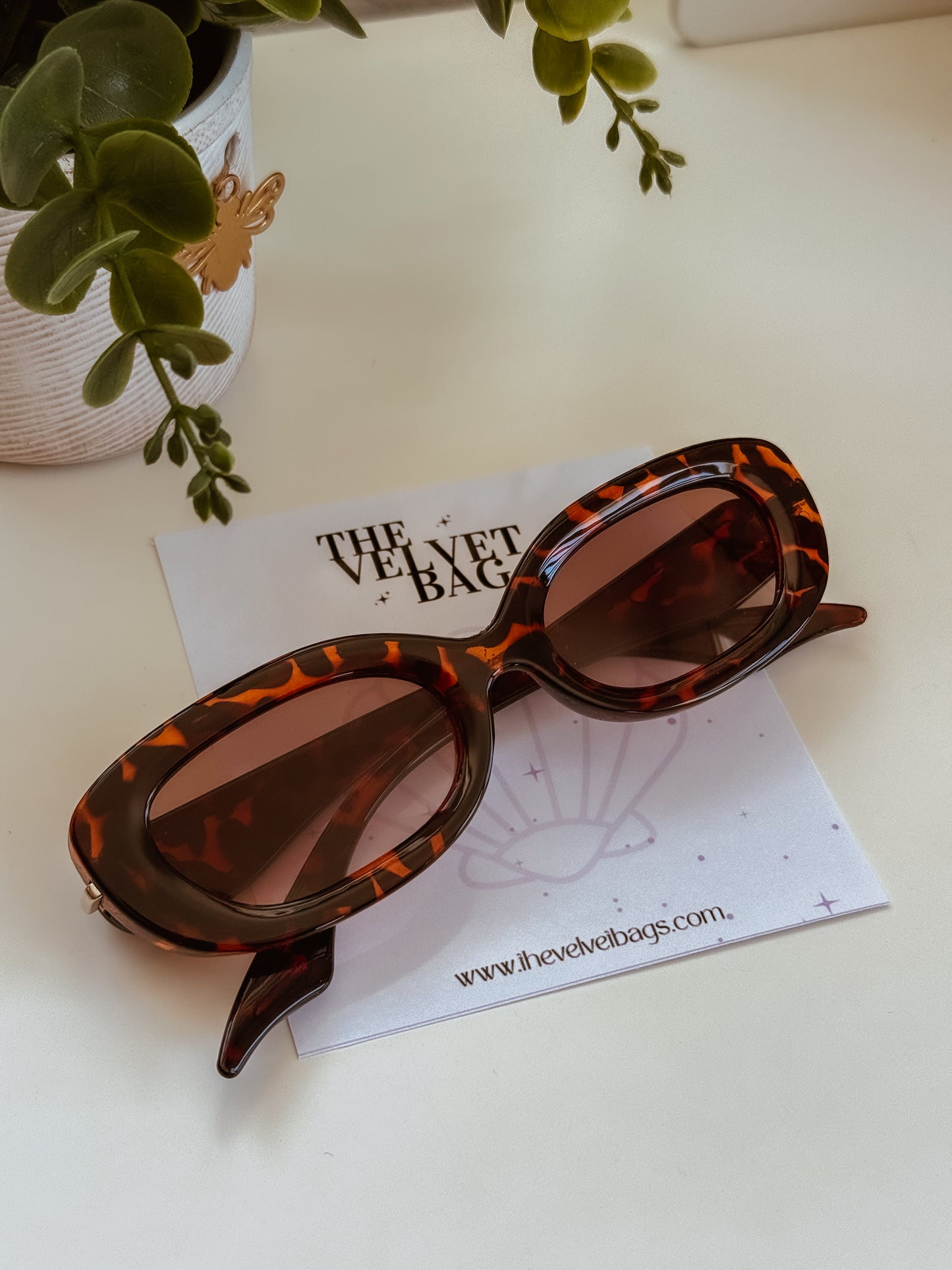 Costa Sunglasses