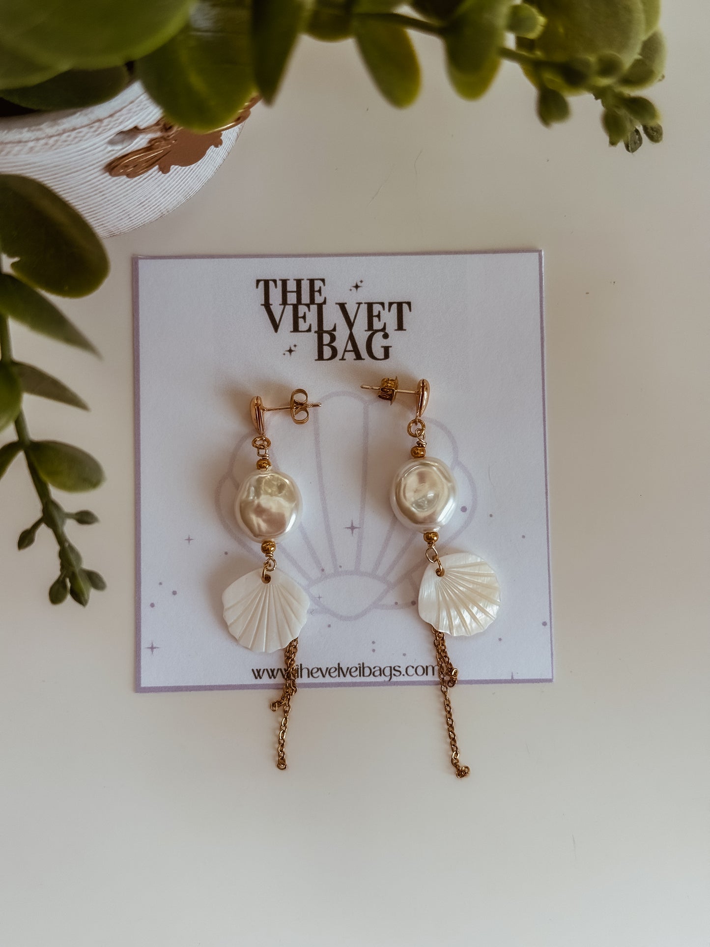 Seashells earrings