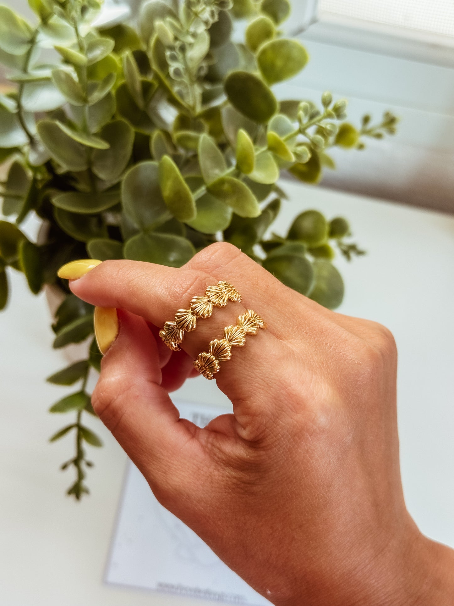 Shells ring